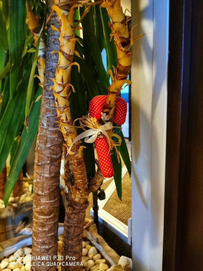 Hotel Swiss Sumen Kültér fotó